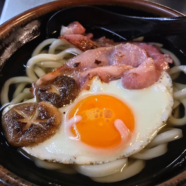 竹内絢香 ポットヌードルはとにかく価格が安いので 若い子が節約のために食べるのよ と友人から聞いたことがあります Ebfうどんは２年前に食べましたが 薄味で優しい 食べやすいものでしたよ 他のメニューと同等に人気があるようでした