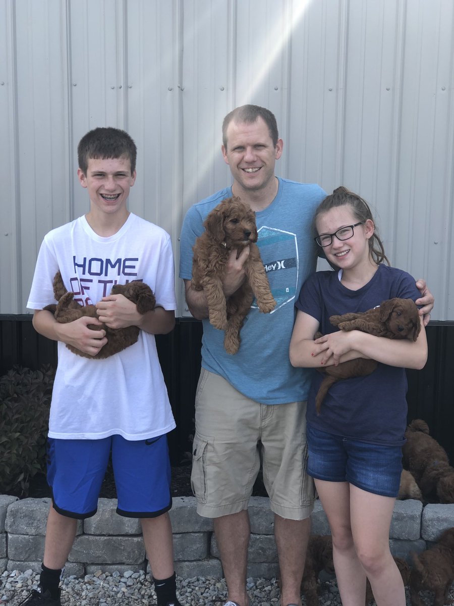 We love our puppy visitors 🐶🐾 Thank you all for coming! #miniaturepoodle#miniaturegoldendoodles #puppies