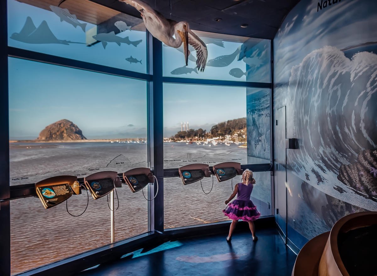 morrobaytravel's tweet photo. Morro Bay has TONS for you to learn & try this Summer with camps, classes & more! Looking to get outside, get moving or get creating... whether you're visiting for a day or a week, there is a program for you. https://t.co/yHPCTz8vxE #morrobay #morrobaycation #activevacations https://t.co/vBxLzVLmBj