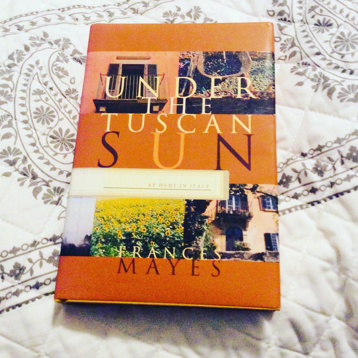 One of those times when you can resist anything but temptation 🙂

The self imposed ban on buying books, lifted slightly for this favorite. From the library sale 

#booksofinstagram #bookstagrammer #underthetuscansun #francesmayes   #chroniclebooks #booklover #reminiscingthereads