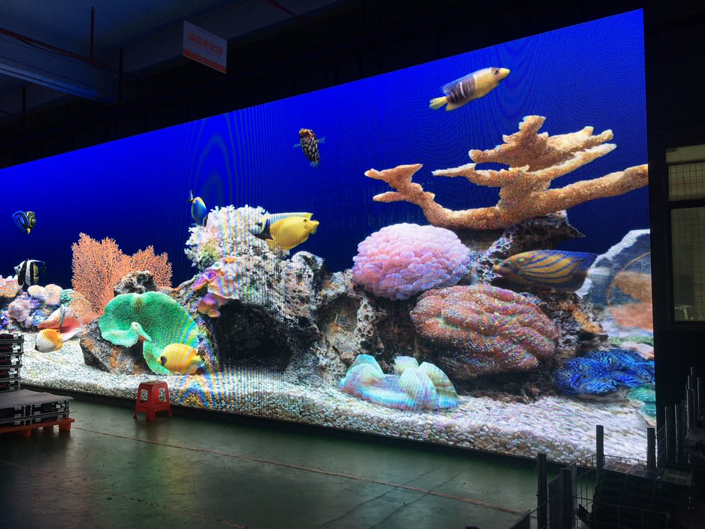 Julie Shin tweet media