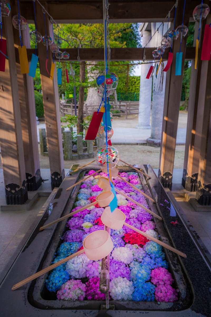 福岡県の春日神社も紫陽花を手水舎に浮かべていた Togetter 福岡県の春日神社も紫陽花を手水舎に浮かべていた Togetter