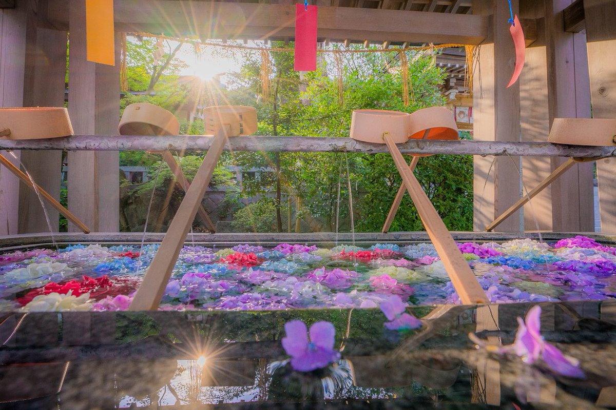 Ramumi8 福岡県の春日神社 手水舎の紫陽花と風鈴がとても涼しげで綺麗でした 福岡でこんな景色見れるなんて Japan 福岡 紫陽花 風鈴 春日神社