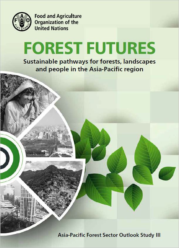 FAOAsiaPacific's tweet photo. #HappeningNow @ #APFW2019 “We need transformational efforts to achieve our global sustainability targets” @FAO's Yurdi Yasmi, Forestry Officer, unpacks the Asia-Pacific Forest Sector Outlook Study III, Read #APFSOSIII, "Forest Futures": https://t.co/eybCZQUpGN #forests4peace https://t.co/MgXvReup5u