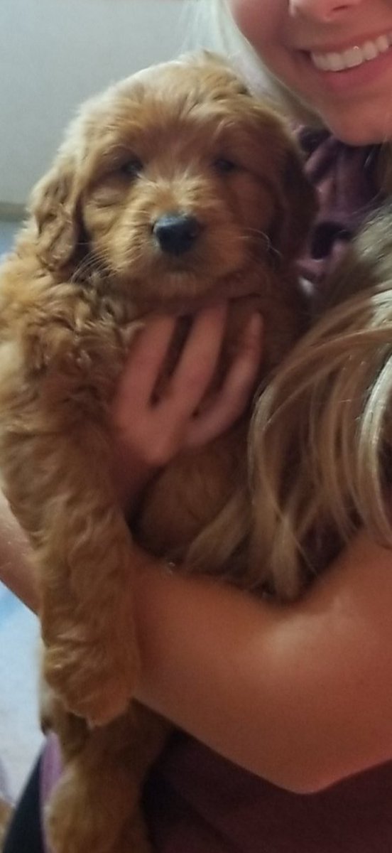 BBarkema's tweet photo. Two more days til he's in my arms again. Forevaaaa 🐾 https://t.co/Suss5ytURy