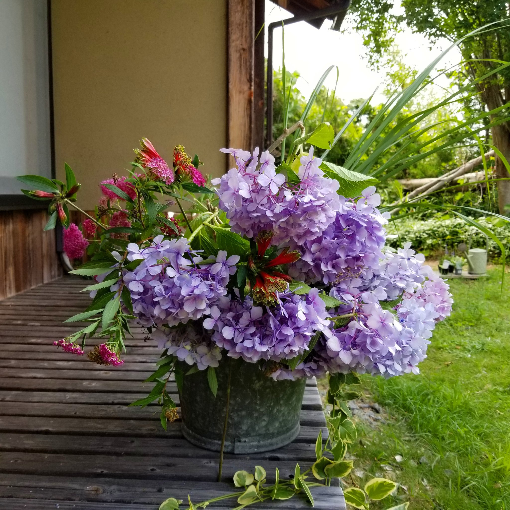 تويتر Couture Garden على تويتر 生け花にする花を庭で集めてきました 家の中でも自然を感じていたいのであちらこちらに生けています 花を生けるときには 水を入れたバケツを持ち歩き いっぱい集めてきます 今日の生け花は あじさい祭 ですね 庭の花