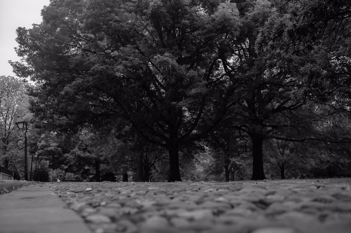 adrianzdiaz's tweet photo. Philly in #blackandwhitephoto . #TheDiazExperience #shootinraw #Philadelphia https://t.co/CEJTk3j2uZ