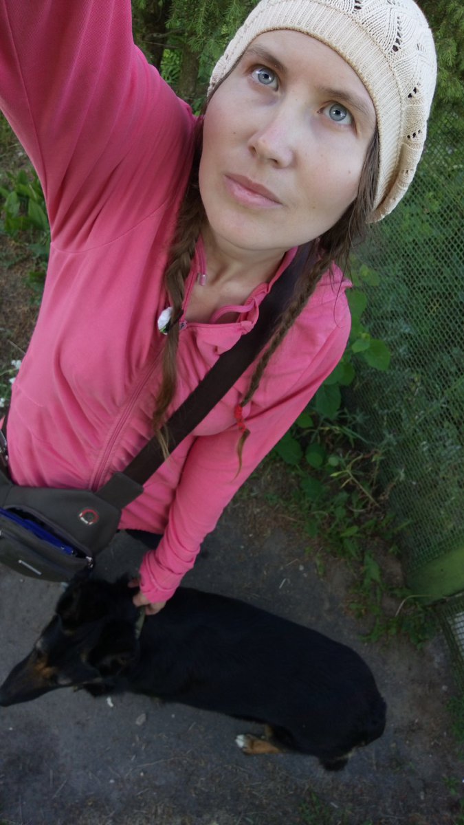 dogs_24com's tweet photo. Walk with Masha in the evening on the 16th of June. https://t.co/BTZk9pkIuE