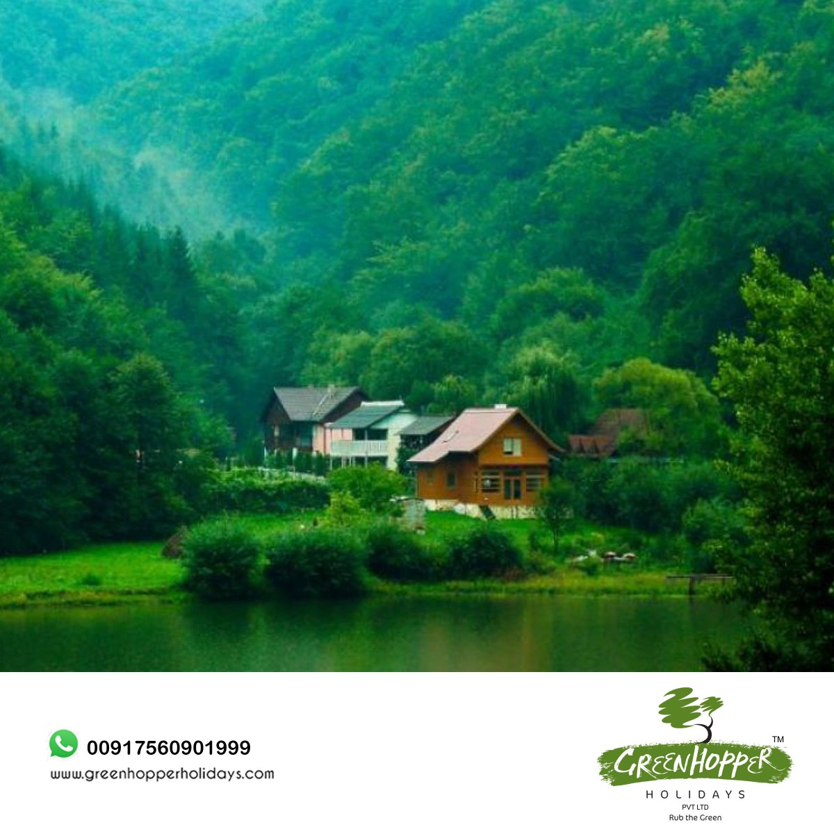 Greenhoppertour's tweet photo. Explore Wayanad’s Great Outdoors To Yours Hearts Content &amp; Add To Your Bucket List!!!

📱 :+91 8157902999
🌐 :https://t.co/sqckyzUzoF 
Click To Chat: https://t.co/XuuC54yq54
#holidaypackage #munnartrip #alleppeyhouseboat #keralaholidays #bestpackage #keralatours #kerala https://t.co/8LFkgkimhf