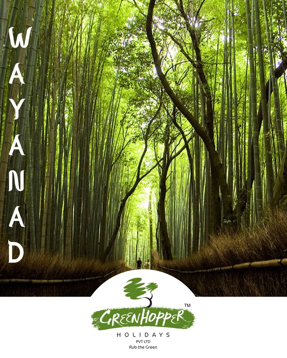 Greenhoppertour's tweet photo. Explore Wayanad’s Great Outdoors To Yours Hearts Content &amp; Add To Your Bucket List!!!

📱 :+91 8157902999
🌐 :https://t.co/sqckyzUzoF 
Click To Chat: https://t.co/XuuC54yq54
#holidaypackage #munnartrip #alleppeyhouseboat #keralaholidays #bestpackage #keralatours #kerala https://t.co/8LFkgkimhf