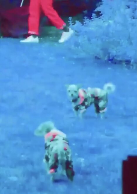 Nadia_Curry's tweet image. Shout out to Ann for making the cut! #TemporaryFix @natecurry_ @sheisbaegod @sbvce @_flacca