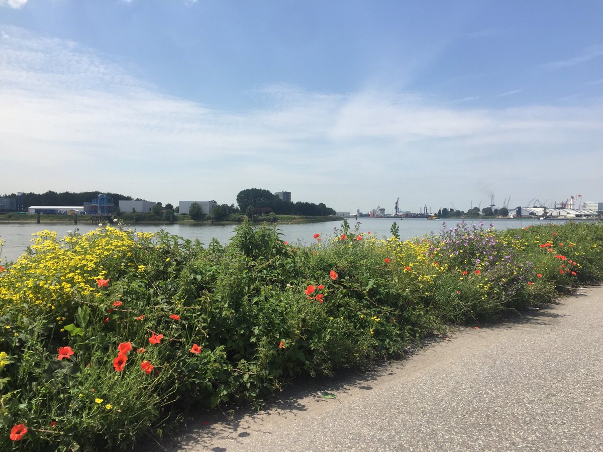 Natuur en Haven gaan samen bij UWT Bunschotenweg aan de Eemhaven