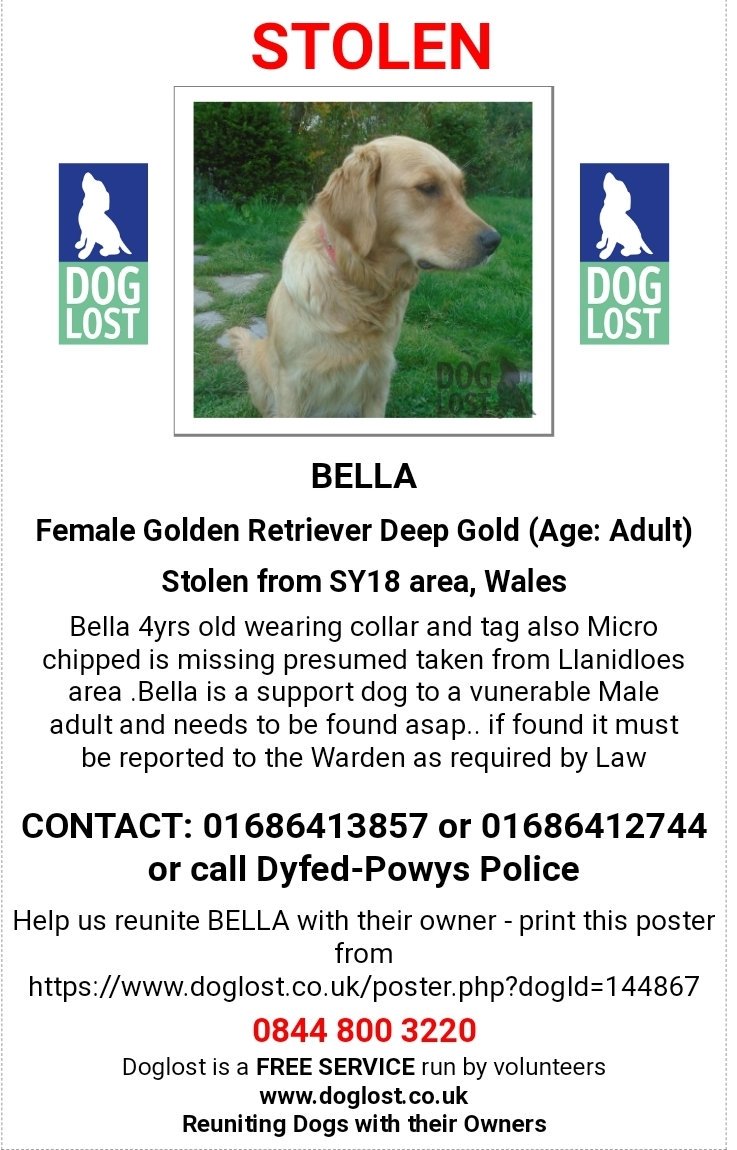 MissingPetsGB's tweet photo. 🐕#BELLA #STOLEN CANCER SUPPORT DOG on 12 June from #Llanidloes #Powys #SY18
Bella is support dog to a vulnerable adult &amp; must be found. Believed that she has been taken by two males who were renting a caravan near Bella's home.
Please share TO GET HER BACK HOME #stolendog #wales https://t.co/s1zdbL0r01