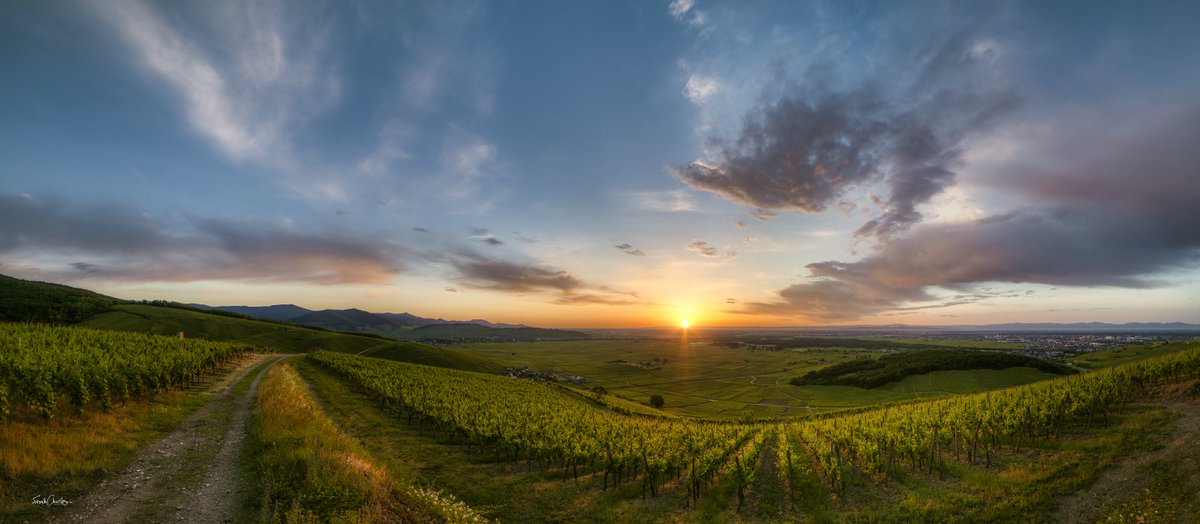 Katzenthal ~ Route des vins d'Alsace
#tourisme #vineyard