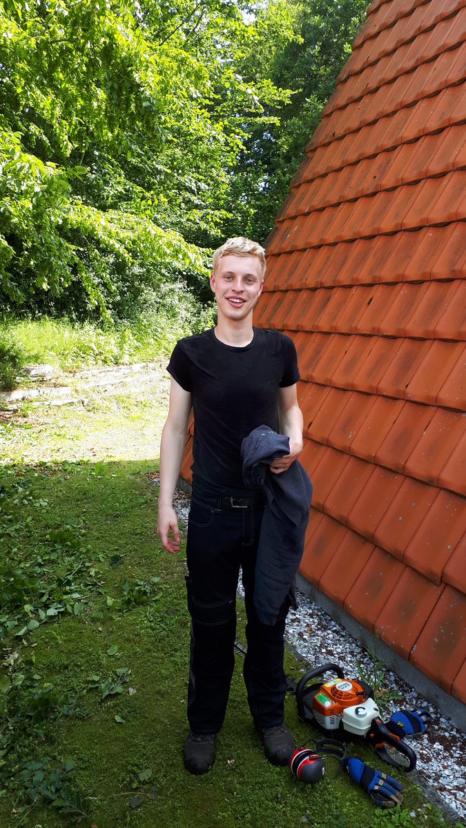 De Groengroep tweet media