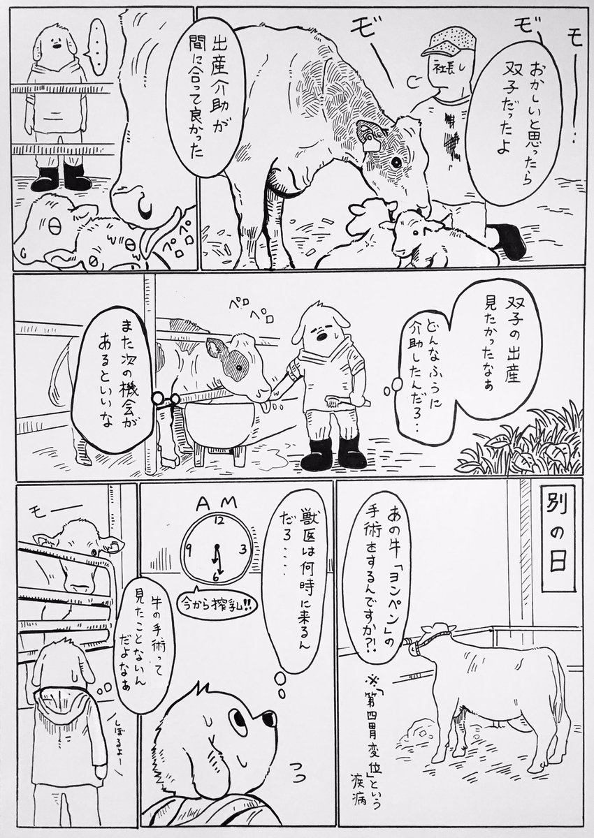 『見たい人知りたい人』?✨

好奇心で身を滅ぼすタイプの人間です…

動物を屠り解体するのは観察出来るんですが、なぜか「手術」は直視出来ません… 