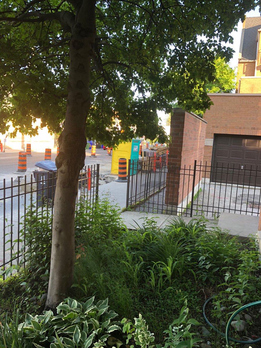 No workers spotted apparently replacing water mains in 5 days but this outside toilet went up by front door today.   Thanks city council and John Tory.   Who is running this city?