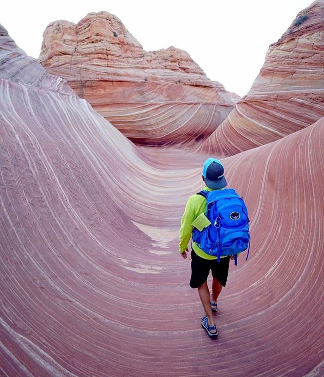 Health_Lab_Live's tweet image. [ENVIRONMENT] “When one tugs at a single thing in nature, he finds it attached to the rest of the world.” - John Muir
🍃
..................................................................................
📷 @johnrosano5 bit.ly/31INeec