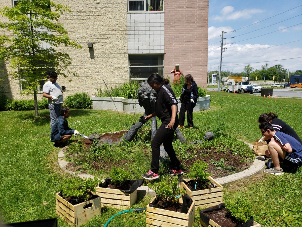 RichmondGreenSS's tweet photo. Thank you YRDSB Outdoor Education/ Ecoschools and TRCA for the seed ball kit that students planted in the Ecogarden. #MONARCHNATIONCANADA https://t.co/qAWHPUArZ6