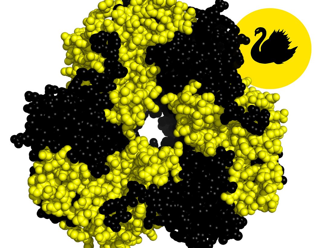 WA protein enthusiasts - so we have enough interest to form an <a href="/ITSASBMB/">ASBMB</a> special interest group (Perth Protein Group) and will have a pre-launch meeting with lightning talks and mixer 1-5 pm Friday 26 July. Ask colleagues to contact joshua.mylne@uwa.edu.au to join in.