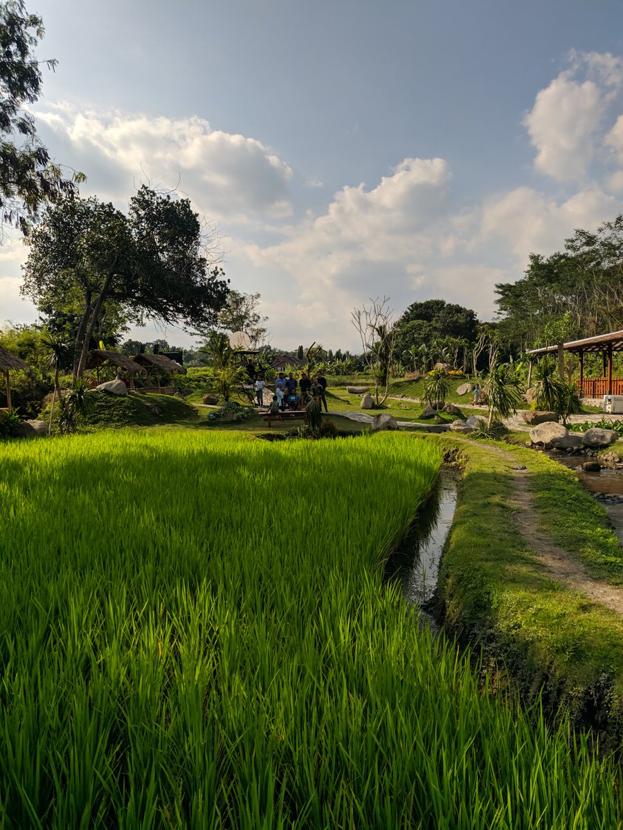 kyperdana's tweet photo. Cuma mau share tempat yg itunganya masih baru buat opsi selain #warungkopiklotok #kopibukanluwak or #kopirolas yg udah popular duluan di #jogja
Namanya #warungwatoegadjah
Konsepnya mirip2 cuma dari segi tempat lebih luas, good looking sama lebih tertata apik.
Cc : @infojogja https://t.co/mFBE7t0mTD