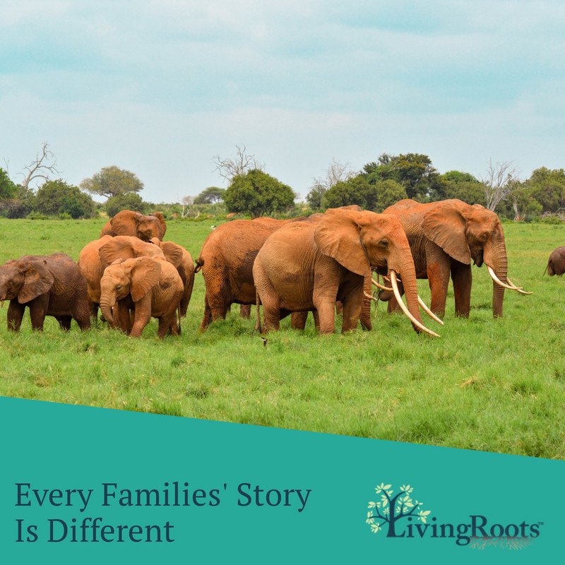 LivingRoots tweet media