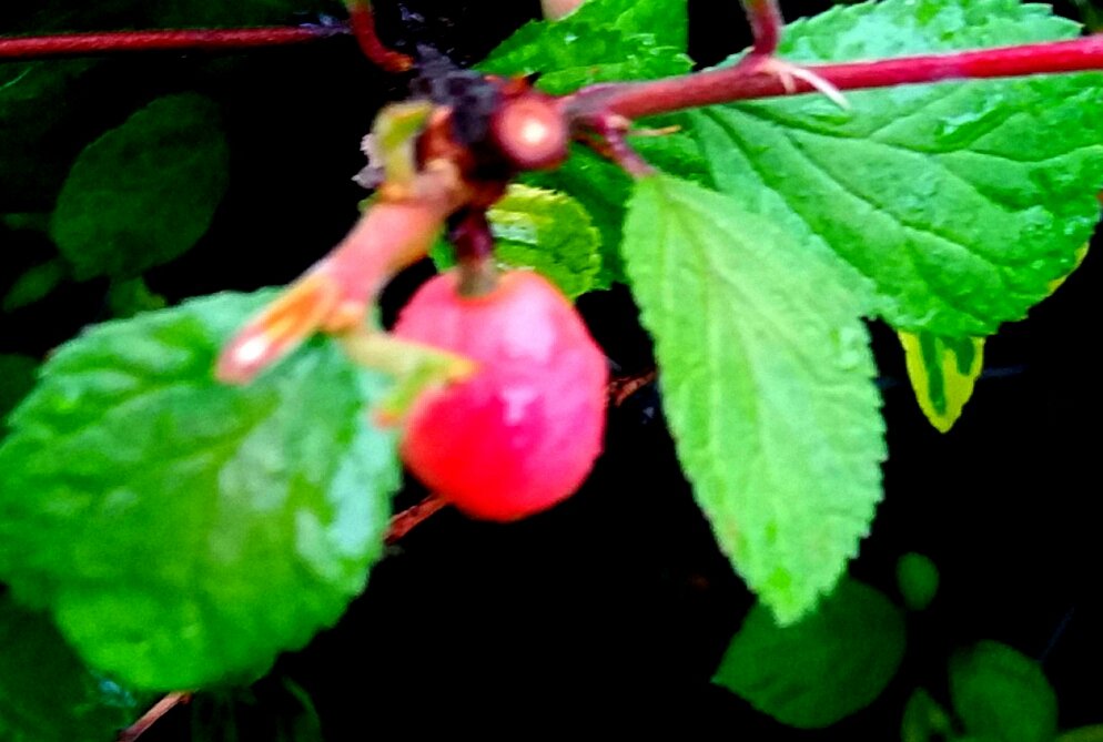 좀 알은체 해주면
어때서 나 여기살아 이토록
쓸쓸히 눈부시잖냐고
낮은뜨락 환하게
꽃등 심지
돋우어도 키큰나무
잎사귀에 누워
거드름만 피우고
내민 입술에 싱거운 바람만
얹어놓는 햇살이여
그리운 눈길로
쫓아가면 마알간
물수제비 하나
톡 떠주고...