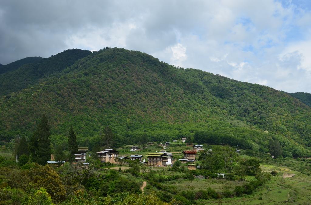 worldtourplan09's tweet photo. Who said #Bhutan is expensive destination?You will be suprise to know what all $250 covers.
https://t.co/5duLPguXeo
#bhutan #happinessisaplace #Travel
#worldtourplan #visitbhutan #allaboutbhutan #tourism #TravelTips #bhutandailytariff #holiday #vacation https://t.co/gDh8AoZTNq
