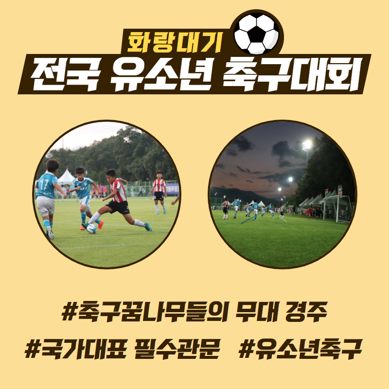 #국가대표 가 되려면화랑대기 전국 유소년 축구대회를 거쳐야한다 (❓)🧐
축구 꿈나무들의 무대!#화랑대기_전국유소년축구대회⚽️
올해 8월9일부터 19일까지 열립니다 😚
또 어떤 국가대표 선수가 배출될까요‼️😋
#경주 #경주시 #국가대표 #U-20 #이강인 #축구선수 #축구 #축구꿈나무