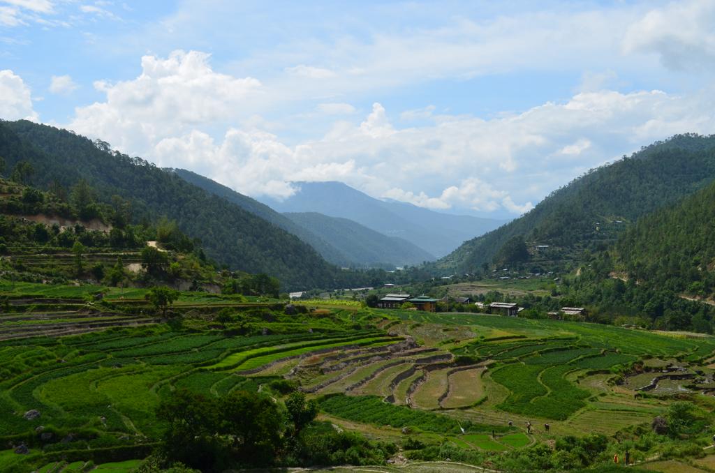 worldtourplan09's tweet photo. Who said #Bhutan is expensive destination?You will be suprise to know what all $250 covers.
https://t.co/5duLPguXeo
#bhutan #happinessisaplace #Travel
#worldtourplan #visitbhutan #allaboutbhutan #tourism #TravelTips #bhutandailytariff #holiday #vacation https://t.co/gDh8AoZTNq