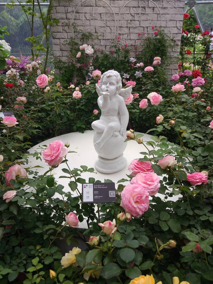 🌺🌿🌿