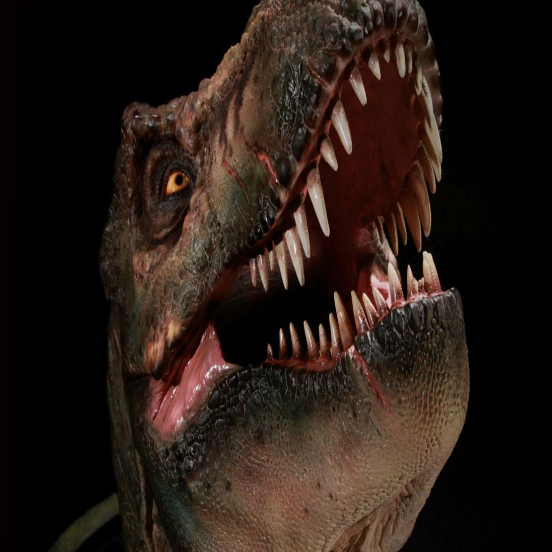 JurassicRunner's tweet photo. The first known dinosaurs were bipedal predators that were 1 to 2 metres long. Dinosaurs that could easily walk on two legs were called bipeds.
.
.
Download for FREE endless-runner game for Android.
LIMITED EDITION T-SHIRTS AVAILABLE NOW - link in bio
.
.
#dinosaur #gamedev # ... https://t.co/5mWcsNkspH