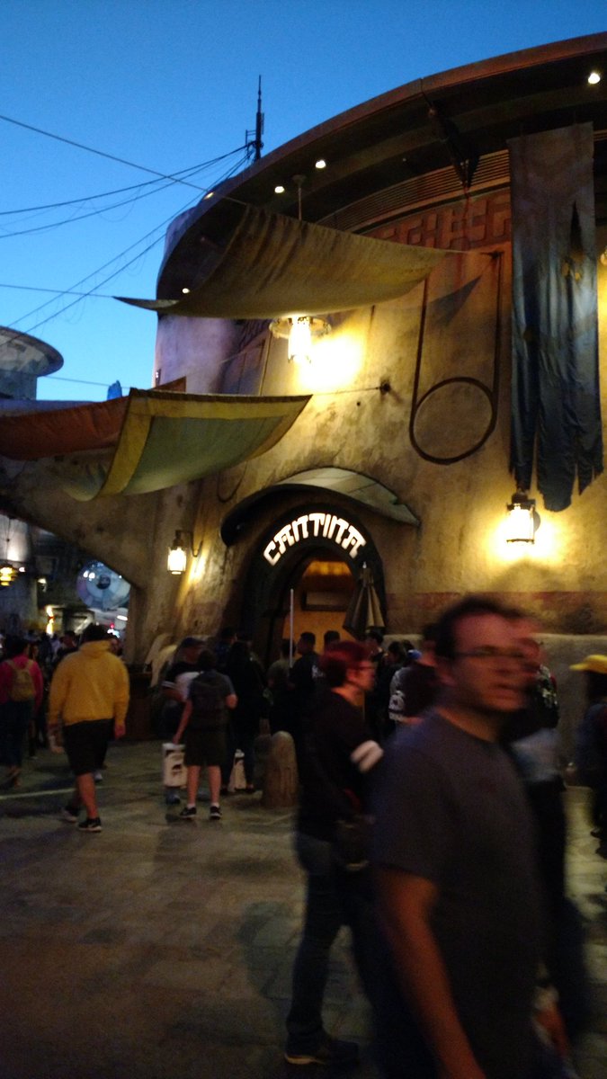 Allison Castner tweet media