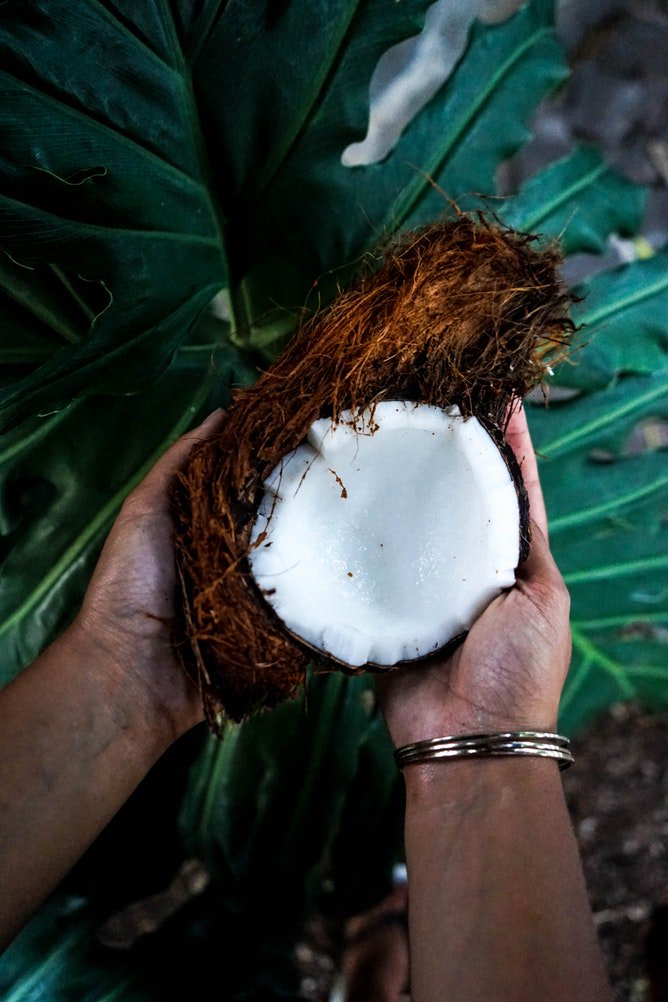 ckmashfire's tweet photo. Is Coconut Oil Healthy Or Poisonous? What's Your Take? 
https://t.co/B0By0erbjS https://t.co/eMqKcyXInk