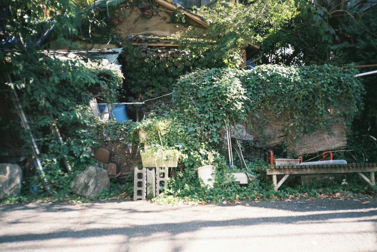 HisaFoto's tweet photo. 「#新宿サイレンス」
.
.
.
#olympusxa #olympus #zuiko #compactfilmcamera #ootd #reco_ig #analogue #filmphoto #everybodyfilm #filmisnotdead #ishootfilm #back2film #everybodyfilm #film_jp #filmcommunity #ishootfilm #フィルム #tokyo #shinjuku #新宿 https://t.co/q87x4dtU27