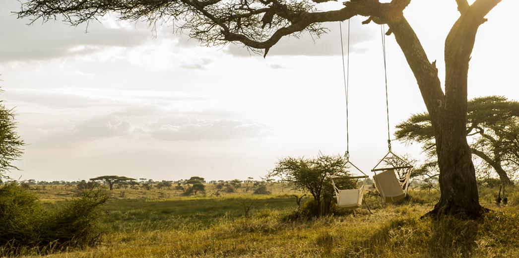 Rest up in a hammock overlooking the great Serengeti Plains.  

#LazyDays #Hammock #NamiriPlains #RestAssured #Serengeti #LuxuryTraveller #AfricanSafaris #TravelToAfrica #ExperienceAfrica