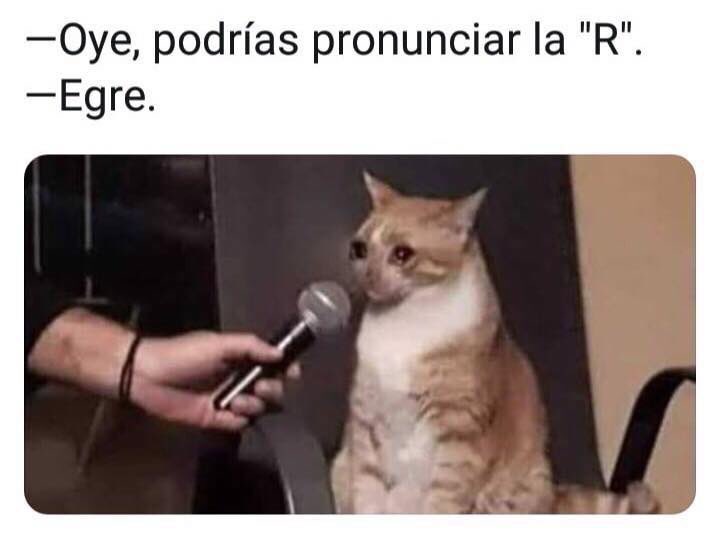 Como pronunciar cat