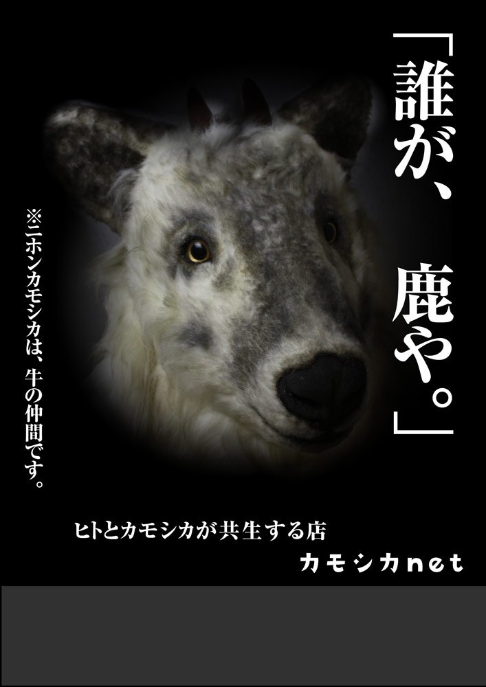 誰が鹿や Hashtag On Twitter