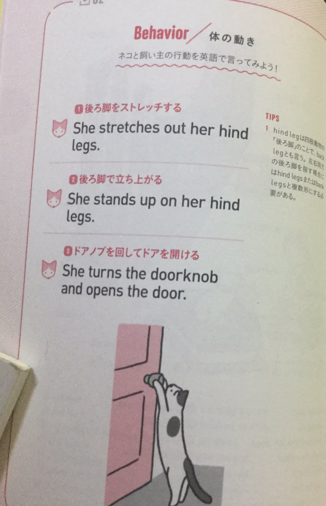 じゅに Twitterissa Alcoの有名な 起きてから寝るまで 英語シリーズに ネコ英語表現 があるの知っていますか 可愛いイラスト入りでひたすら猫についての英語表現が並んでいる 読んでいるだけで楽しい 猫好きあるある表現しかないのです 起きてから寝るまで じゅに Twitterissa Alcoの有名な 起きてから寝るまで 英語シリーズに ネコ英語表現 があるの知っていますか 可愛いイラスト入りでひたすら猫についての英語表現が並んでいる 読んでいるだけで楽しい 猫好きあるある表現しかないのです 起きてから寝るまで