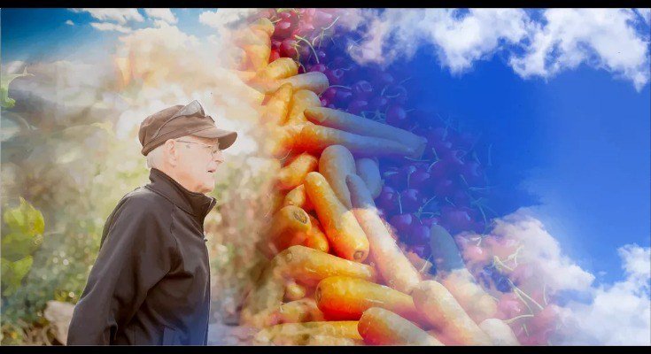 editorNETexan's tweet image. Get Happy and Healthy thenortheasttexan.com/2019/06/26/hap…