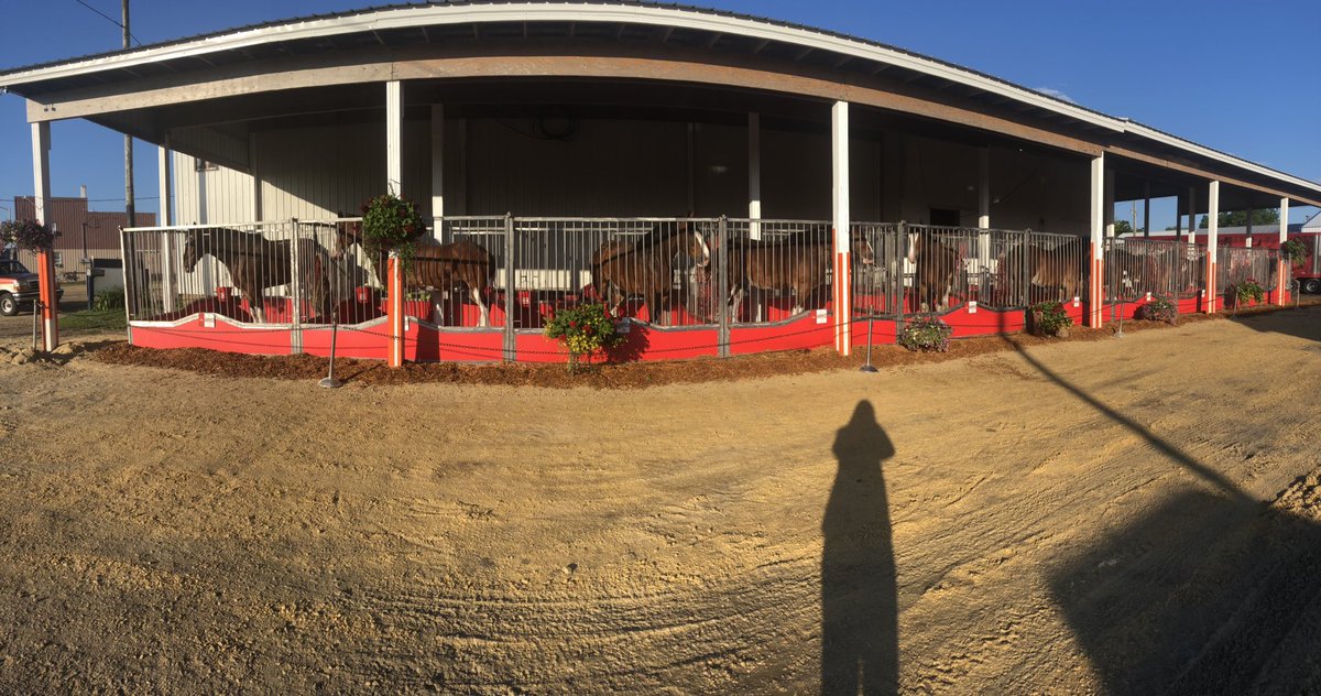 EdgewoodRodeo's tweet photo. They’re all settled in and ready for RODEO TIME! @budweiserusa https://t.co/XL1C4k3pHO