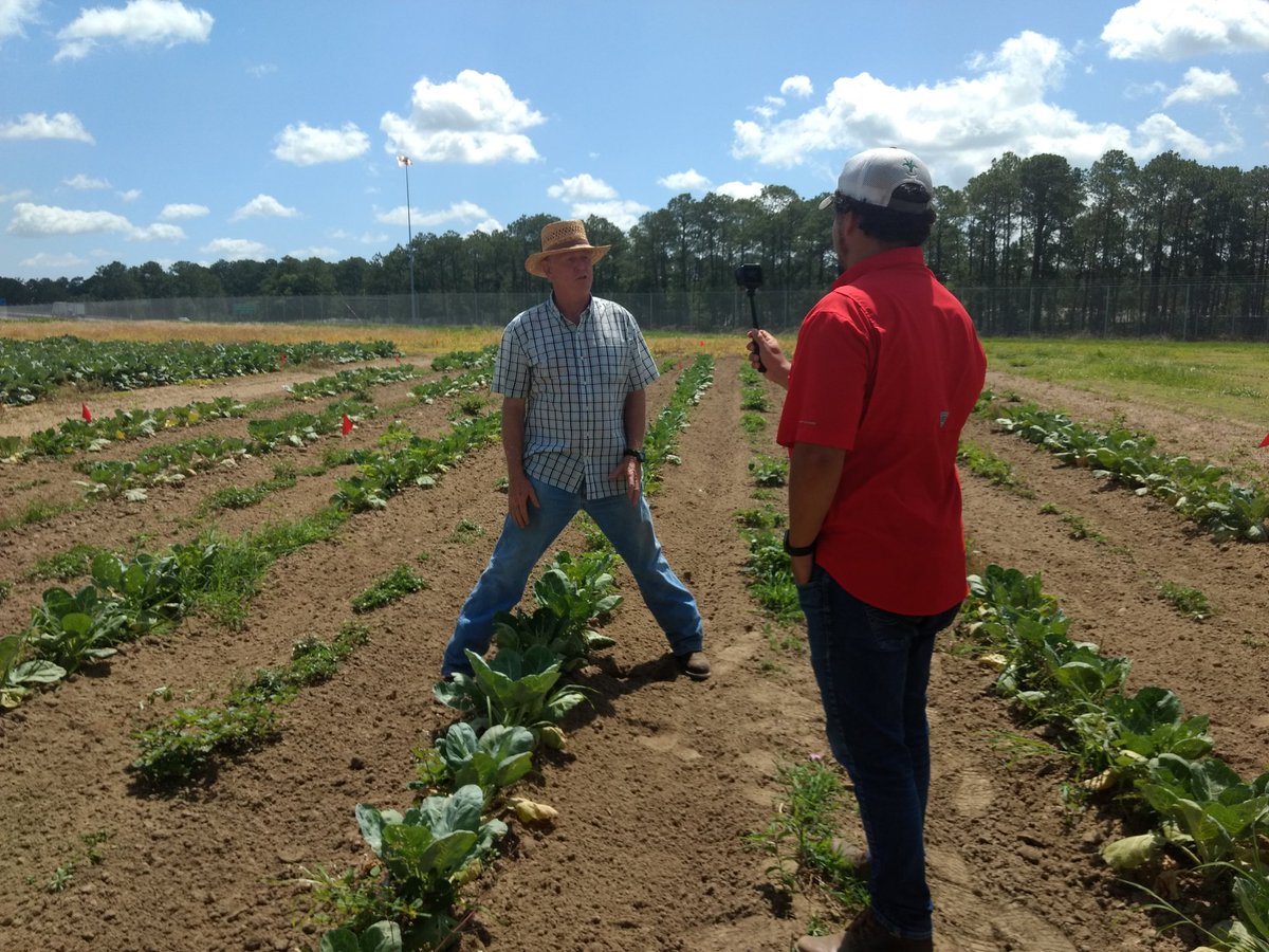 UGAEFS's tweet image. Food Science Extension and the UGA Vegetable Team have joined up for the "On Farm Five." Keep your eyes open for our short videos discussing topics encompassing food safety, pest management, irrigation practices, and others, coming soon!