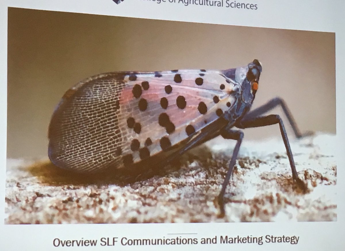 FaithPepp's tweet photo. Learning about quarantines, hoppers and PDA today @ #ACEcurrents https://t.co/ZUDf0GOQf5