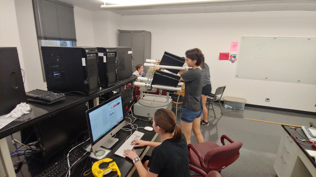 CLC Physics Gattone tweet media