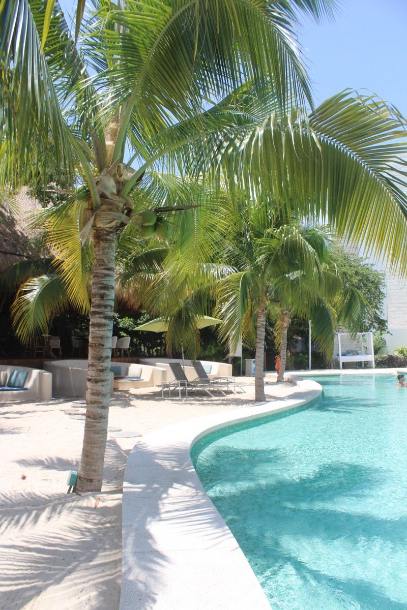 AzulResorts's tweet photo. Keep your senses alive and refreshed at Natura Day Club! #AzulFives #AzulBeachLife https://t.co/tkGpgDpp8N