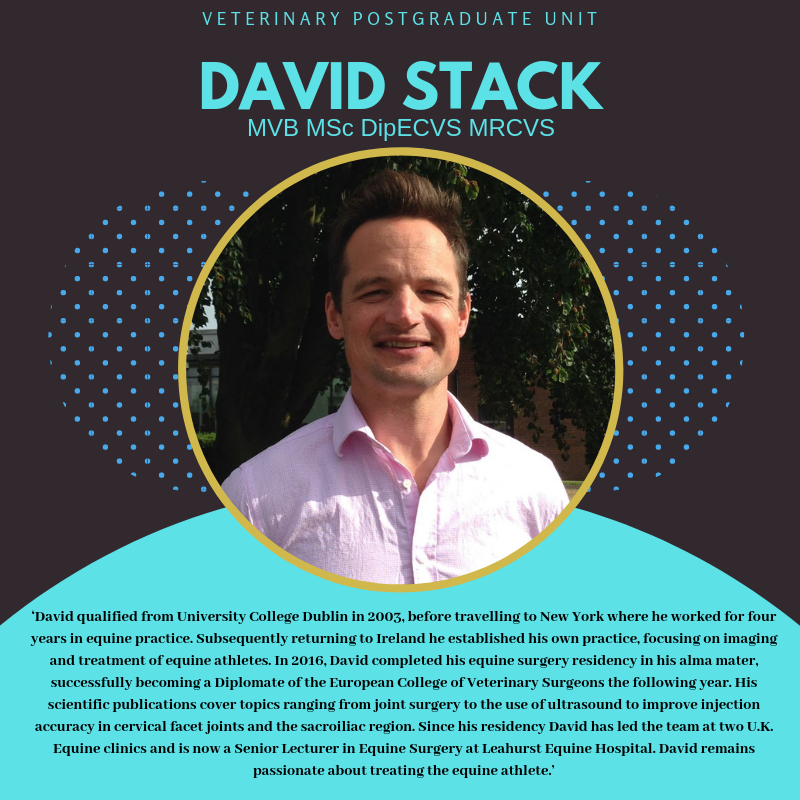 LivPGvets's tweet photo. Calling all equine vets! David Stack will be lecturing on Practical Wound Management at our workshop on Thursday 11th July. Bool your place now #equine #cpd2019 #neverstopknowing https://t.co/dNu574BUNs
