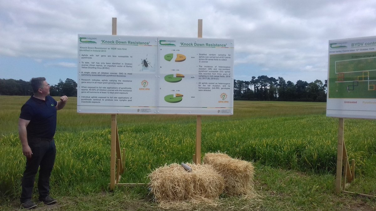 amelie_heckmann's tweet photo. Lovely afternoon at @teagasc Crop &amp; Spreaders Open Day in Oak Park. https://t.co/93f8QuI0gr