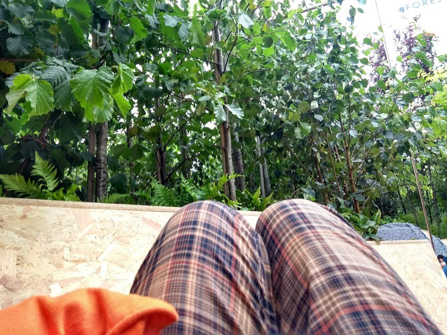 SophieP53468320's tweet photo. Enjoyed the MOST refreshing, reinvigorating power nap in the peace of @merseyforest's #forestbathingpod today in Williamson Square! Check it out all day tomorrow and learn more about the #wellbeing benefits of nature in cities @urbangreenUP #naturebasedsolutions https://t.co/vCw4Is6uaM