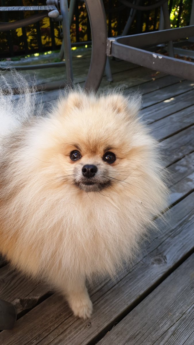 Gabzito (@gabzitohd) on Twitter photo 