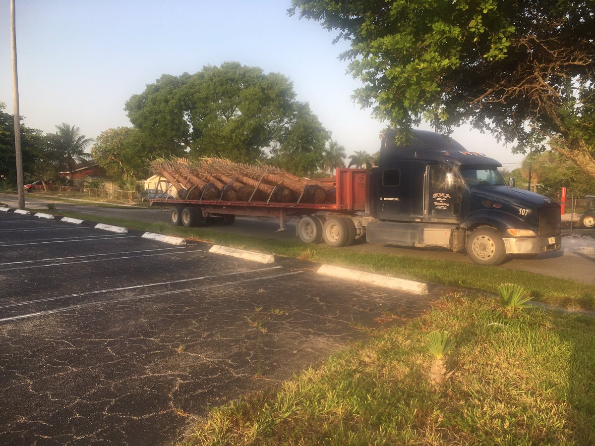 GDunmyer's tweet photo. The first of the new trees arrived at Sara Sims today.  Stay tuned! #BoyntonBeach https://t.co/6nwYi6Bftl